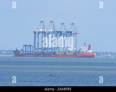 Sheerness, Kent, Royaume-Uni. 5 juin 2024. Un navire transportant quatre grues équilibrées sur le pont - le navire de transport lourd Zhen Hua 36 a voyagé de Shanghai, en Chine pour livrer quatre grues de quai à London Gateway ce matin - photo prise depuis Sheerness, Kent. Crédit : James Bell/Alamy Live News Banque D'Images