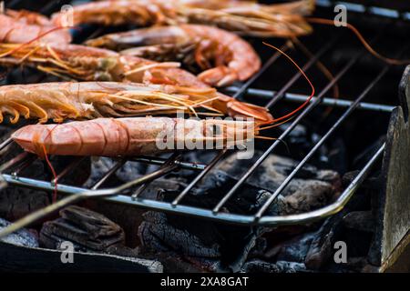 Petites crevettes ou grosses crevettes cuites sur le barbecue, excellent repas et nourriture saine Banque D'Images