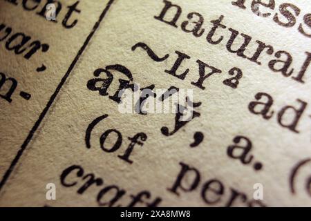Word Arty sur la page du dictionnaire, macro gros plan Banque D'Images