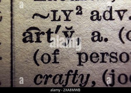 Word Arty sur la page du dictionnaire, macro gros plan Banque D'Images