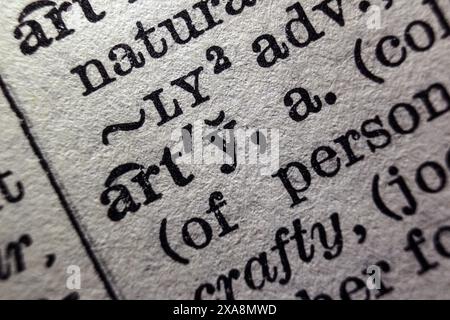Word Arty sur la page du dictionnaire, macro gros plan Banque D'Images