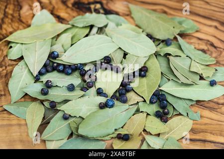 Laurier doux, laurier doux (Laurus nobilis), feuilles de laurier séchées et fruits Banque D'Images