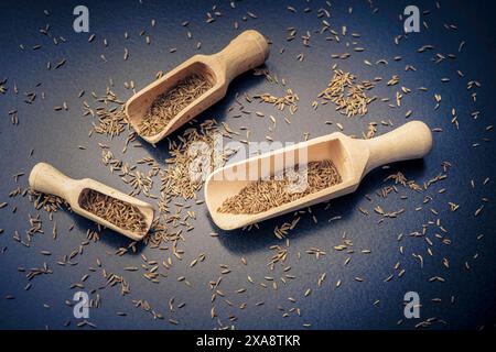 Carvi commun (Carum carvi), fruits de carvi sur une pelle en bois Banque D'Images