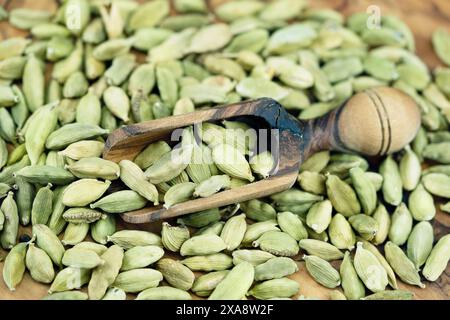 Cardamome vraie (Elettaria cardamomum, Amomum cardamon), cardamome verte dans une pelle en bois Banque D'Images