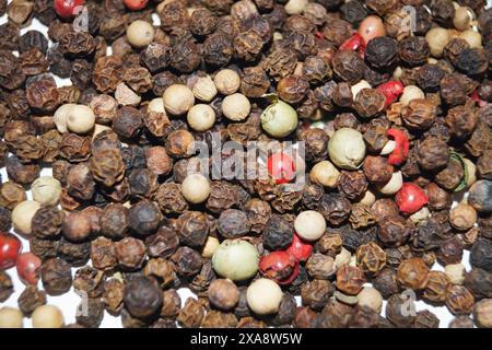Poivre mélange de poivre blanc, rouge, noir et vert Banque D'Images