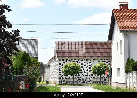 Pribislavec, Croatie. 05 juin 2024. L'extérieur de la maison est peint en taches noires et blanches pour honorer la race de chien dalmate et le film populaire de Walt Disney '101 Dalmatians', à Pribislavec, Croatie, le 5 juin 2024. Photo : Vjeran Zganec Rogulja/PIXSELL crédit : Pixsell/Alamy Live News Banque D'Images