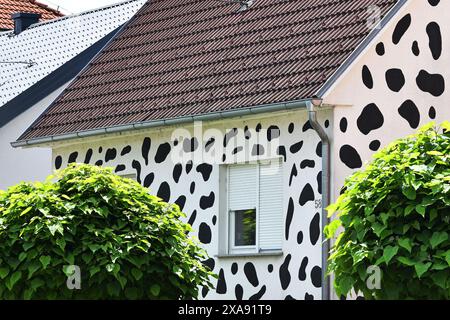 Pribislavec, Croatie. 05 juin 2024. L'extérieur de la maison est peint en taches noires et blanches pour honorer la race de chien dalmate et le film populaire de Walt Disney '101 Dalmatians', à Pribislavec, Croatie, le 5 juin 2024. Photo : Vjeran Zganec Rogulja/PIXSELL crédit : Pixsell/Alamy Live News Banque D'Images