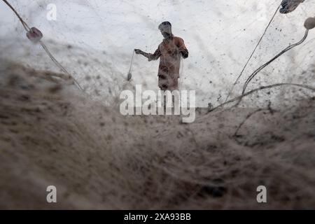 5 juin 2024, Cox's Bazar, Chittagong, Bangladesh : des pêcheurs préparent des filets de pêche pour attraper du poisson sur la plage de la mer de Cox's Bazar, Bangladesh. Le gagne-pain de la communauté des pêcheurs ici dépend largement de la pêche. Avec chaque nœud et ajustement, ils honorent une tradition intemporelle de subsistance qui s'harmonise avec les rythmes du monde naturel. Cox's Bazar, la plus longue plage marine naturelle du monde, s'étend sur plus de 120 kilomètres le long de la côte sud-est du Bangladesh. Réputée pour son sable doré, ses couchers de soleil vibrants et ses vagues, elle attire des millions de touristes chaque année. (Crédit image : © Joy Banque D'Images