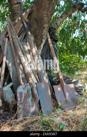 Vieilles pelles avec manche en bois dans le jardin. Outils de jardinage sous l'arbre. Omoplate sale. Outils de travail dans le village. Pelle de jardin rouillée. Banque D'Images