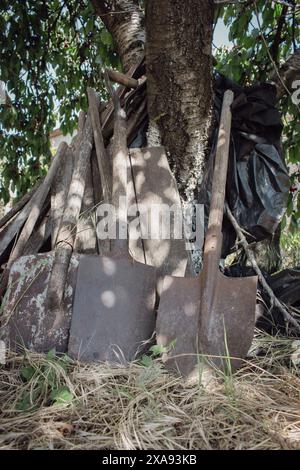 Vieilles pelles avec manche en bois dans le jardin. Outils de jardinage sous l'arbre. Omoplate sale. Outils de travail dans le village. Pelle de jardin rouillée. Banque D'Images