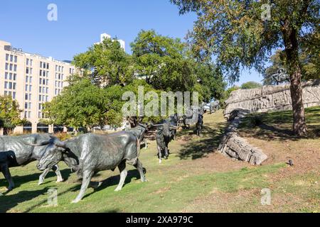 Dallas, États-Unis - 6 novembre 2023 : sculpture d'un troupeau de bovins longhorn traversant un ruisseau au Pioneer Plaza à Dallas, Texas, États-Unis. Banque D'Images