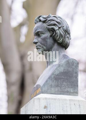 Vienne, Autriche - 02 mars 2024 : détail d'un mémorial Ludwig van Beethoven à Vienne, 19e arrondissement, jour nuageux en hiver Banque D'Images