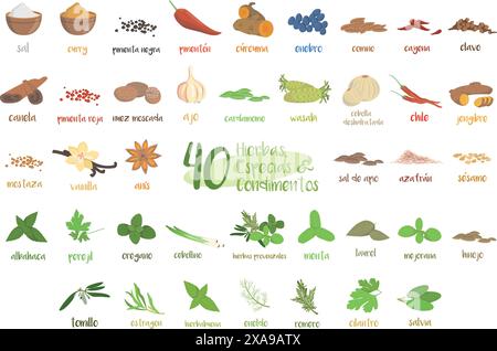 Ensemble de 40 herbes culinaires, espèces et condiments différents dans un style de dessin animé. Noms espagnols. Illustration de Vecteur