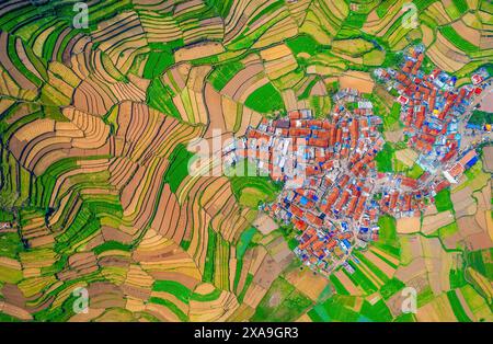Vue de dessus du village de Poombarai niché parmi les champs en terrasses et la verdure luxuriante. Il se trouve dans les collines Palani de Kodaikanal, Inde et offre une photo Banque D'Images