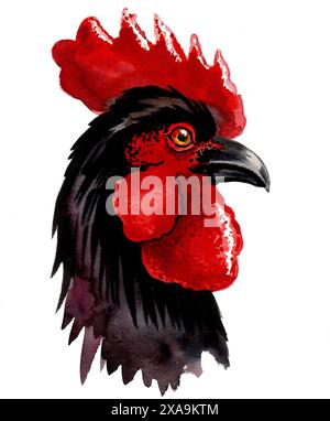 Tête de coq noire. Dessin à l'encre et aquarelle Banque D'Images