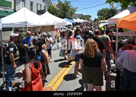 Les gens assistent à la 13ème Foire annuelle des OVNIS de Pine Bush le 1er juin 2024 dans la ville de Crawford à New York. Banque D'Images