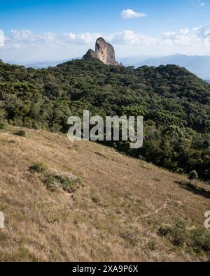 Forêt tropicale d'altitude au sud-est du Brésil. Banque D'Images