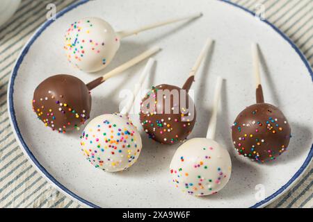 Gâteaux faits maison à la vanille et au chocolat avec saupoudres Banque D'Images