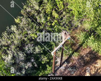 Vue aérienne de lignes électriques traversant des arbres près de l'eau Banque D'Images