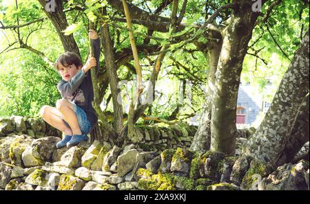 garçon de 6 ans grimpant à un arbre Banque D'Images