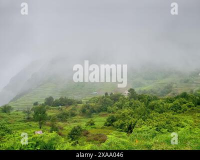 La montagne verdoyante avec une colline herbeuse couverte de brouillard Banque D'Images