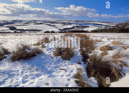 Lammermuir Hills au-dessus du village de Longformacus en hiver, Berwickshire, Écosse janvier 2005 Banque D'Images