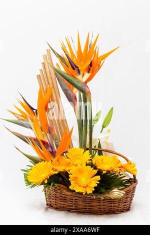 Un arrangement vibrant d'oiseau de paradis et marguerites orange dans un panier. Banque D'Images