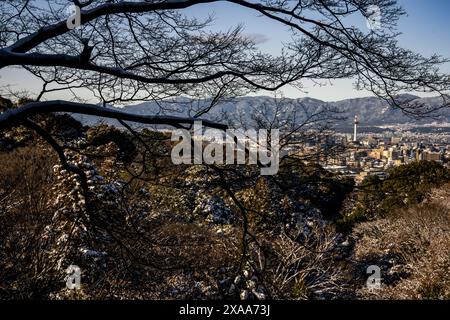 Les branches d'arbre sans feuilles sur fond de paysage urbain de Kyoto. Japon Banque D'Images