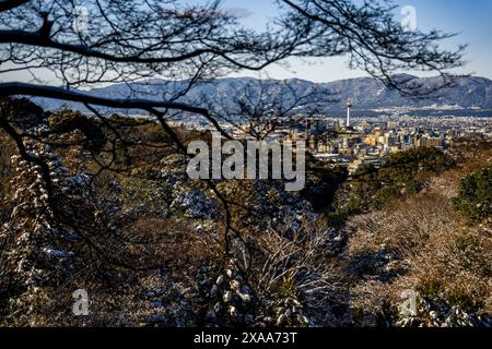 Les branches d'arbre sans feuilles sur fond de paysage urbain de Kyoto. Japon Banque D'Images