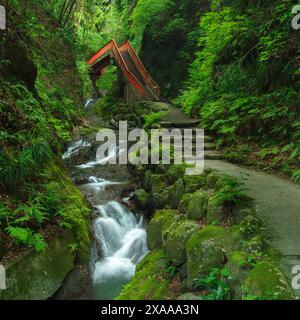 Shiokawa Falls, une cascade en gradins avec une hauteur totale de 30 mètres, présente une vue fascinante, surtout si vous montez en amont et la regardez depuis t Banque D'Images