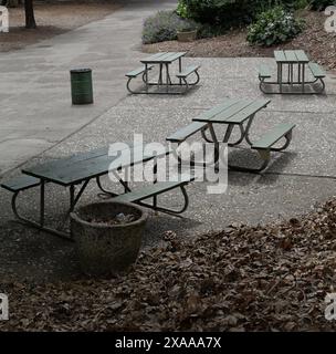 Les quatre tables de pique-nique entourées de feuilles tombées, et une poubelle Banque D'Images