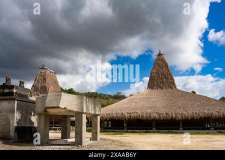 Les maisons au toit de chaume à Kampung Adat Praiyawang, île de Sumba, Indonésie Banque D'Images
