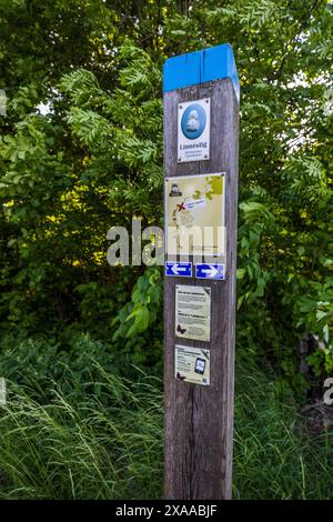 Marquage pour le sentier de randonnée Linnéstig Herbationes Upsaliensis, ici entre Uppsala et Old Uppsala. Ärnavägen, Uppsala, Suède Banque D'Images