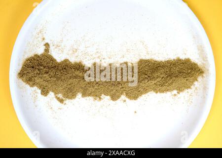 Une dispersion de poudre d'espèces de coriandre sur un fond blanc. Banque D'Images