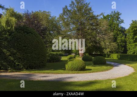 photo d'un coin confortable du parc avec un chemin, des arbres et des arbustes par une journée d'été ensoleillée Banque D'Images