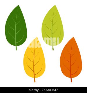 Ensemble de feuilles vertes, jaunes et rouges isolées sur fond blanc. Illustration vectorielle des feuilles d'automne. Illustration de Vecteur