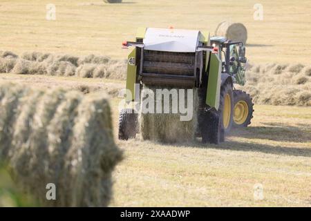 Limousin, France. 5 juin 2024. Fenaison en Limousin. Après les longues pluies printanières, il est temps de récolter le foin dans le sud-ouest de la France. Ce foin récolté par les éleveurs Limousin sera utilisé durant l’hiver pour nourrir les vaches bovines Limousin. Agriculture, agriculteurs, éleveurs de bétail, élevage de bétail, travail agricole, nourriture. Limousin, Nouvelle Aquitaine, France. Europe. Crédit : photo de Hugo Martin/Alamy Live News. Banque D'Images