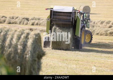 Limousin, France. 5 juin 2024. Fenaison en Limousin. Après les longues pluies printanières, il est temps de récolter le foin dans le sud-ouest de la France. Ce foin récolté par les éleveurs Limousin sera utilisé durant l’hiver pour nourrir les vaches bovines Limousin. Agriculture, agriculteurs, éleveurs de bétail, élevage de bétail, travail agricole, nourriture. Limousin, Nouvelle Aquitaine, France. Europe. Crédit : photo de Hugo Martin/Alamy Live News. Banque D'Images