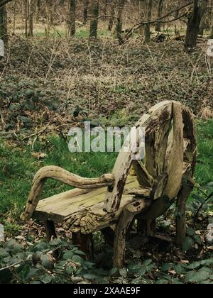 Un banc en bois vieilli entouré de mauvaises herbes envahies et de branches mortes dispersées dans un parc Banque D'Images