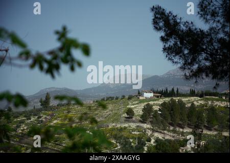 Un vieux chalet blanc avec un champ agricole avec oliveraie en montagne dans la région de Jaen en Espagne. Paysage. Fond nature, Coun Banque D'Images