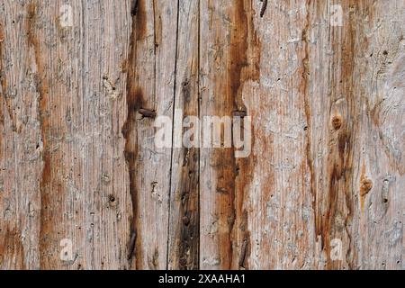 texture de la porte en bois détériorée avec des clous rouillés Banque D'Images