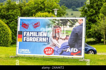 Lauchringen, Allemagne, 26 mai 2024 : une affiche de campagne électorale d'alternatives pour l'Allemagne (AFD) appelle à soutenir les familles. C'était de la spraye Banque D'Images