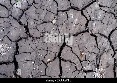 Gros plan sol érodé, terre fissurée et desséchée, terres affectées par la sécheresse, paysage aride, végétation dépourvue, fragilité des ressources de la planète Banque D'Images