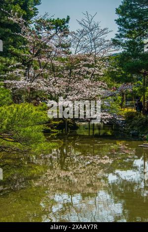 Parc Okazaki dans le sanctuaire Heian Jingu, Kyoto, Honshu, Japon, Asie Banque D'Images