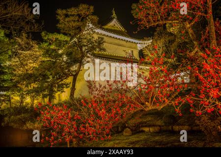 Le palais impérial de Kyoto illuminé tous les soirs pendant la floraison des cerisiers, Kyoto, Honshu, Japon, Asie Banque D'Images