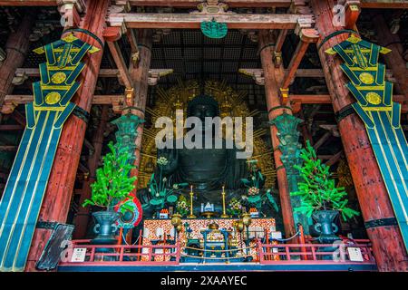 Grand Bouddha, Daibutsuden (salle du Grand Bouddha), Temple Todaiji, site du patrimoine mondial de l'UNESCO, Nara, Kansai, Honshu, Japon, Asie Banque D'Images