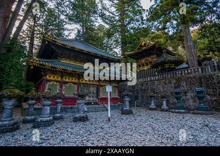 Sanctuaire Toshogu, site du patrimoine mondial de l'UNESCO, Nikko, préfecture de Tochigi, Kanto, Honshu, Japon, Asie Banque D'Images