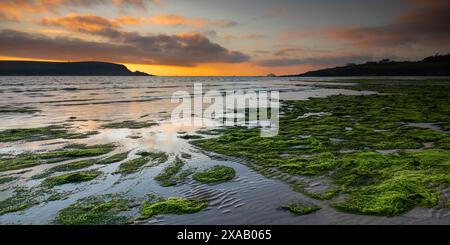 Le coucher de soleil à Daymer Bay, Cornwall, Angleterre, Royaume-Uni, Europe Banque D'Images