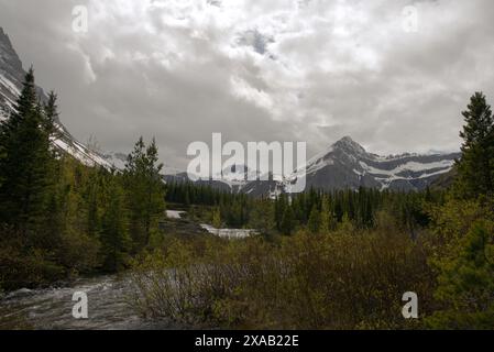 Vues vers le nord de Swiftcurrent Creek vers le mont Grinnell, le Garden Wall, Angel Wing et d'autres sommets enneigés Banque D'Images