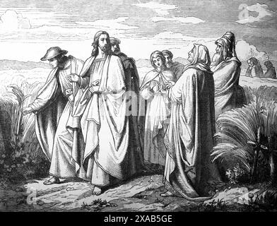 Gravure sur bois de Jésus-Christ et des Pharisiens dans un champ de maïs 'le fils de l'homme est Seigneur aussi le Sabbat' Évangile de Marc du XIXe siècle illustr Banque D'Images